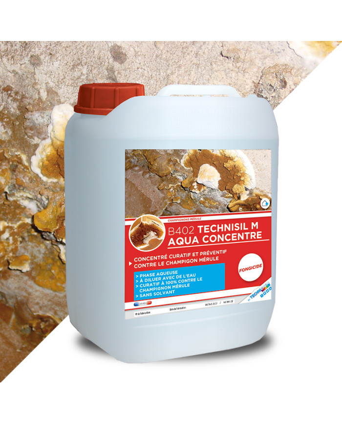 TECHNICIDE M - Traitement des matérieux contre le mérule