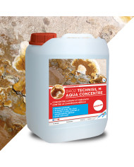 TECHNICIDE M - Traitement des matérieux contre le mérule