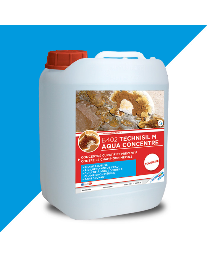 TECHNICIDE M - Traitement des matérieux contre le mérule