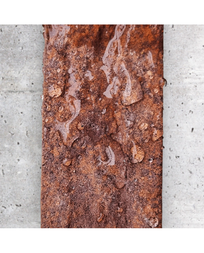 TECHNISIL HYDRO PLUS II – Protection exceptionnelle des façades