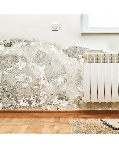 TECHNISIL MS HYBRIDE – Traitement par injection liquide pour tout type de mur