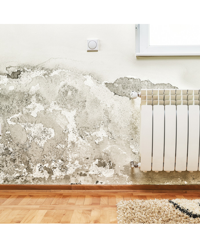 TECHNISIL MS HYBRIDE – Traitement par injection liquide pour tout type de mur