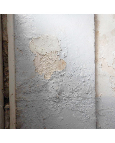 TECHNICURE AS - Stoppe le salpêtre et les sels minéraux