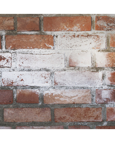 TECHNICURE AS - Stoppe le salpêtre et les sels minéraux