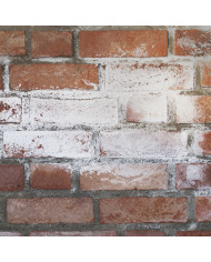 TECHNICURE AS - Stoppe le salpêtre et les sels minéraux