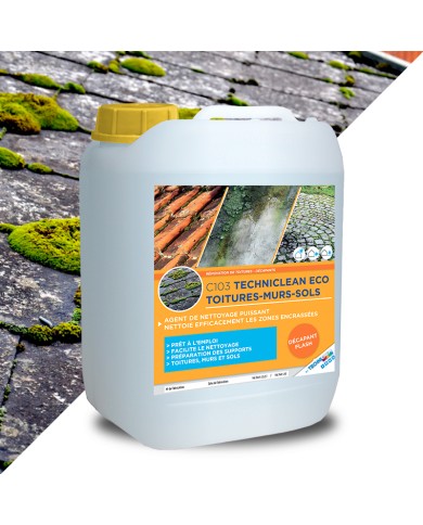 TECHNICLEAN ECO TOITURES - MURS - SOLS - Traitement fongicide curatif