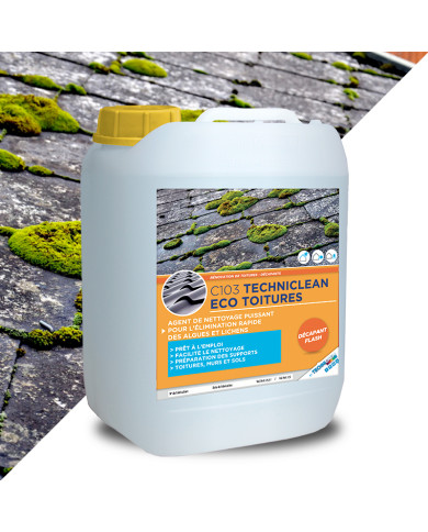 TECHNICLEAN ECO TOITURES - Traitement fongicide curatif