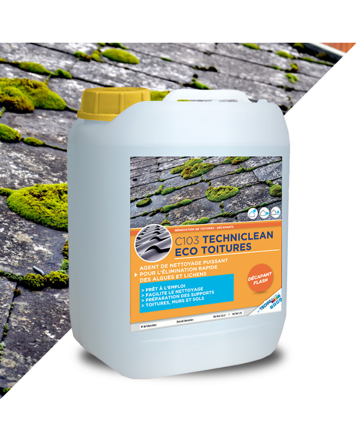 TECHNICLEAN ECO TOITURES - Traitement fongicide curatif