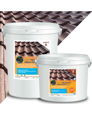 TECHNICIDE PLUS – antimousse pour toitures, terrasses et murs