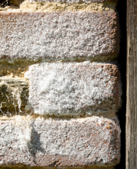 Présence de salpêtre sur les briques d’un mur en brique